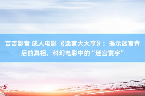 吉吉影音 成人电影 《迷宫大大亨》：揭示迷宫背后的真相，科幻电影中的“迷宫寰宇”