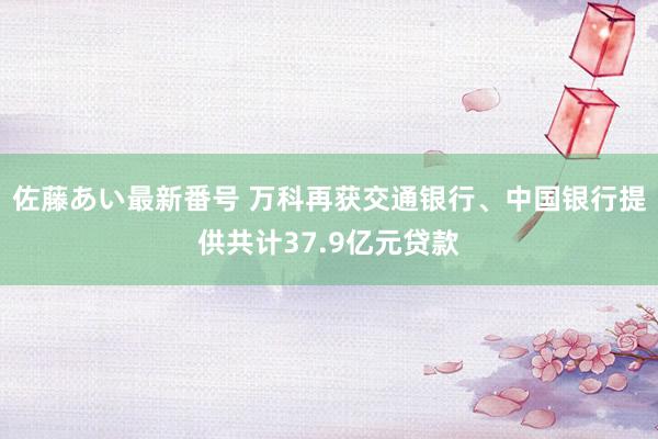 佐藤あい最新番号 万科再获交通银行、中国银行提供共计37.9亿元贷款