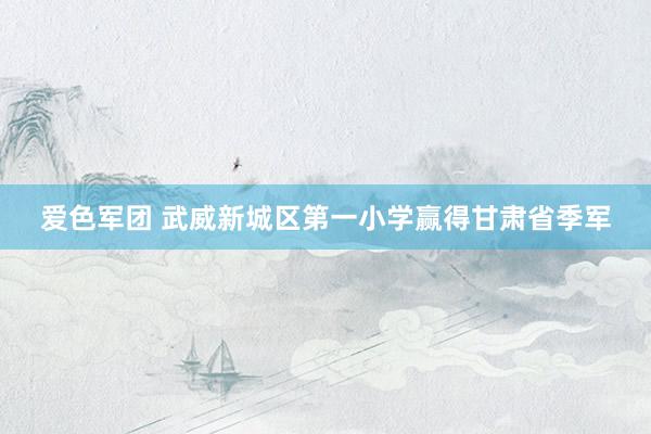 爱色军团 武威新城区第一小学赢得甘肃省季军