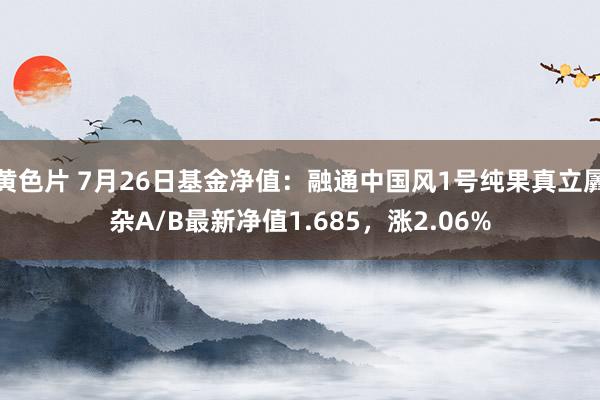 黄色片 7月26日基金净值：融通中国风1号纯果真立羼杂A/B最新净值1.685，涨2.06%