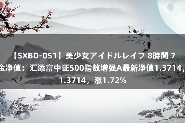 【SXBD-051】美少女アイドルレイプ 8時間 7月26日基金净值：汇添富中证500指数增强A最新净值1.3714，涨1.72%