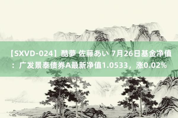 【SXVD-024】酷夢 佐藤あい 7月26日基金净值：广发景泰债券A最新净值1.0533，涨0.02%