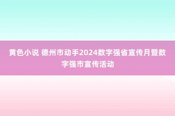 黄色小说 德州市动手2024数字强省宣传月暨数字强市宣传活动