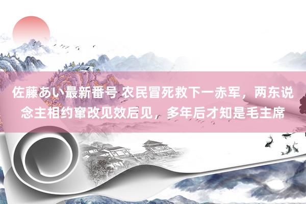 佐藤あい最新番号 农民冒死救下一赤军，两东说念主相约窜改见效后见，多年后才知是毛主席