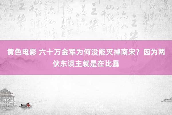 黄色电影 六十万金军为何没能灭掉南宋？因为两伙东谈主就是在比蠢