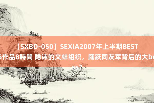 【SXBD-050】SEXIA2007年上半期BEST 全35作品8時間 隐讳的文蚌组织，踊跃同友军背后的大boss？