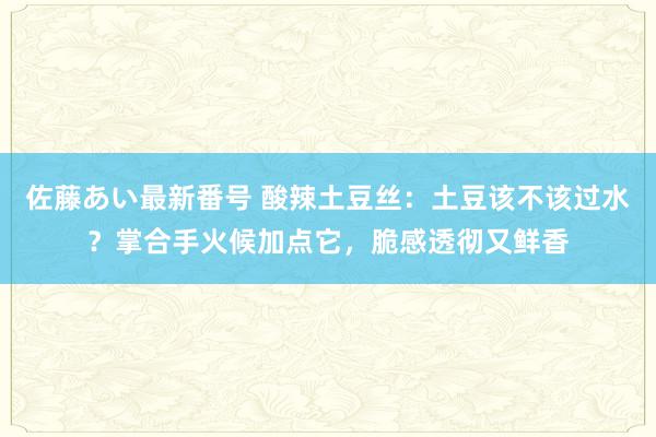 佐藤あい最新番号 酸辣土豆丝：土豆该不该过水？掌合手火候加点它，脆感透彻又鲜香