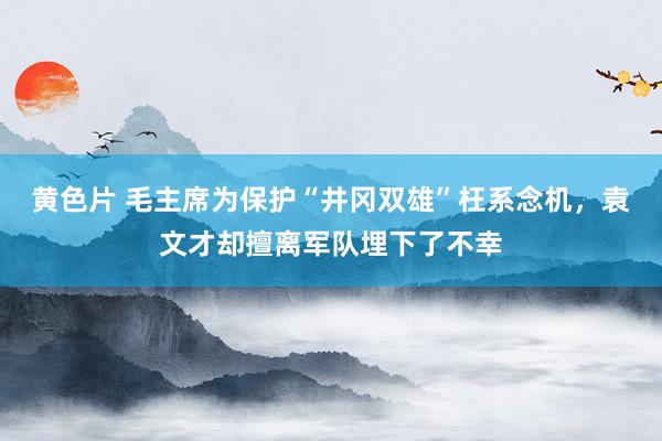 黄色片 毛主席为保护“井冈双雄”枉系念机，袁文才却擅离军队埋下了不幸