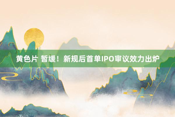 黄色片 暂缓！新规后首单IPO审议效力出炉