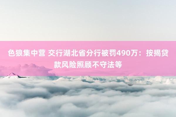 色狼集中营 交行湖北省分行被罚490万：按揭贷款风险照顾不守法等