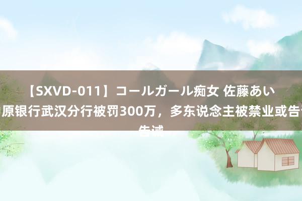 【SXVD-011】コールガール痴女 佐藤あい 中原银行武汉分行被罚300万，多东说念主被禁业或告诫