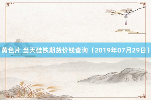 黄色片 当天硅铁期货价钱查询（2019年07月29日）