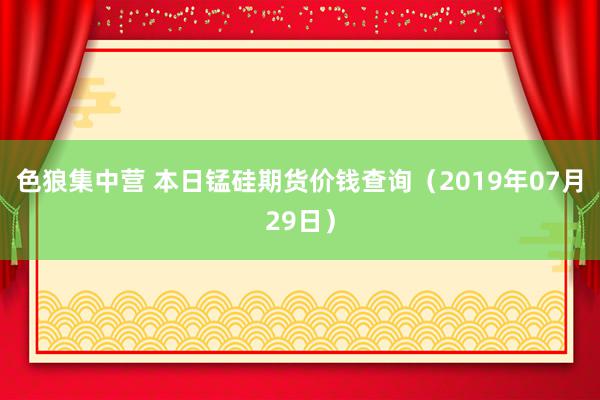 色狼集中营 本日锰硅期货价钱查询（2019年07月29日）