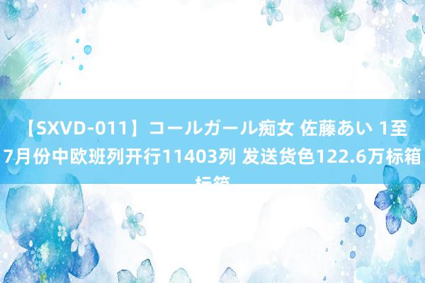 【SXVD-011】コールガール痴女 佐藤あい 1至7月份中欧班列开行11403列 发送货色122.6万标箱