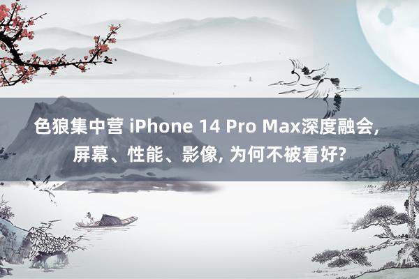 色狼集中营 iPhone 14 Pro Max深度融会, 屏幕、性能、影像, 为何不被看好?