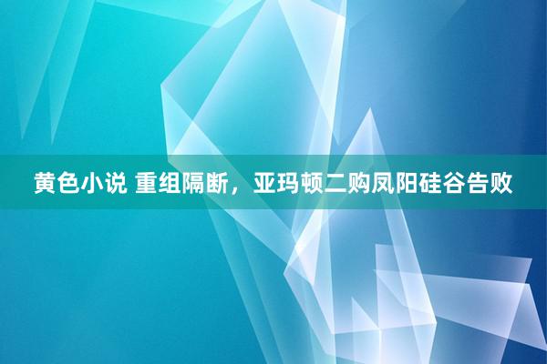 黄色小说 重组隔断，亚玛顿二购凤阳硅谷告败