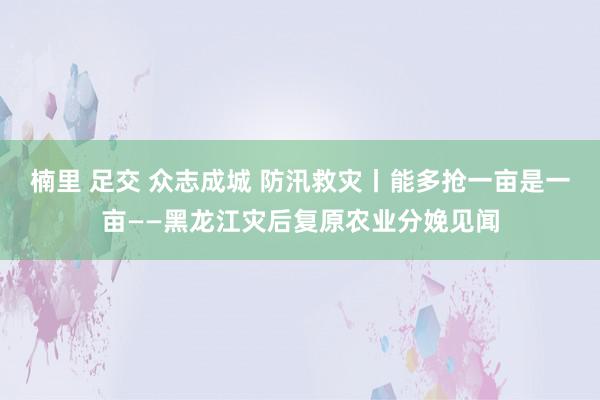 楠里 足交 众志成城 防汛救灾丨能多抢一亩是一亩——黑龙江灾后复原农业分娩见闻