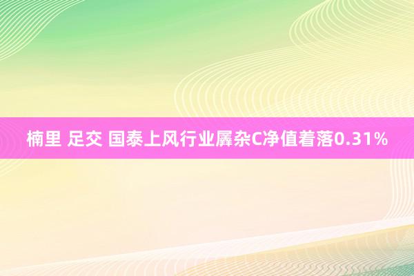 楠里 足交 国泰上风行业羼杂C净值着落0.31%