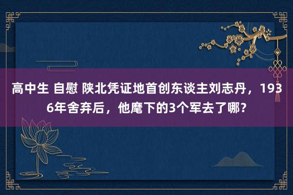 高中生 自慰 陕北凭证地首创东谈主刘志丹，1936年舍弃后，他麾下的3个军去了哪？