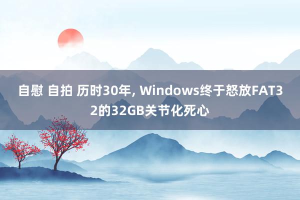 自慰 自拍 历时30年, Windows终于怒放FAT32的32GB关节化死心