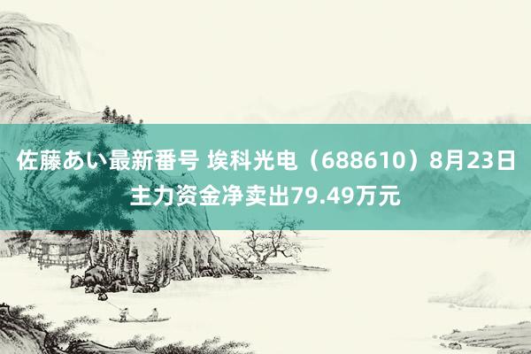 佐藤あい最新番号 埃科光电（688610）8月23日主力资金净卖出79.49万元