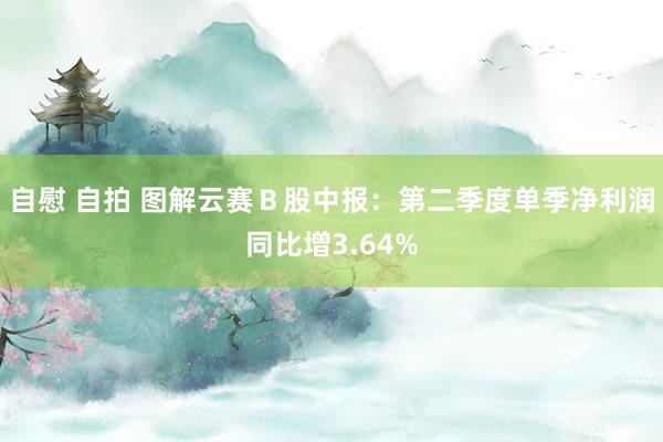 自慰 自拍 图解云赛Ｂ股中报：第二季度单季净利润同比增3.64%