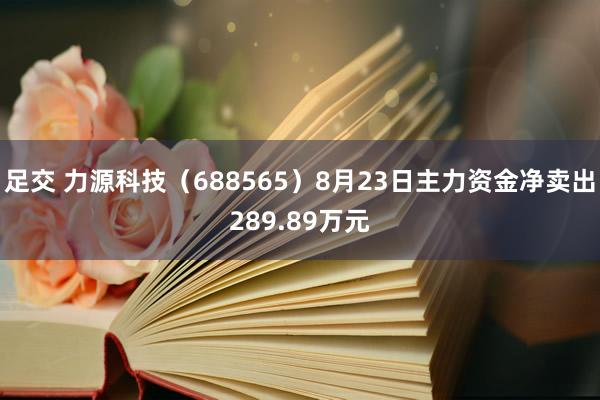 足交 力源科技（688565）8月23日主力资金净卖出289.89万元