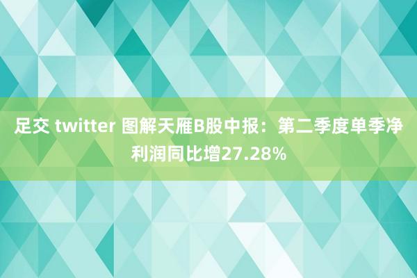 足交 twitter 图解天雁B股中报：第二季度单季净利润同比增27.28%