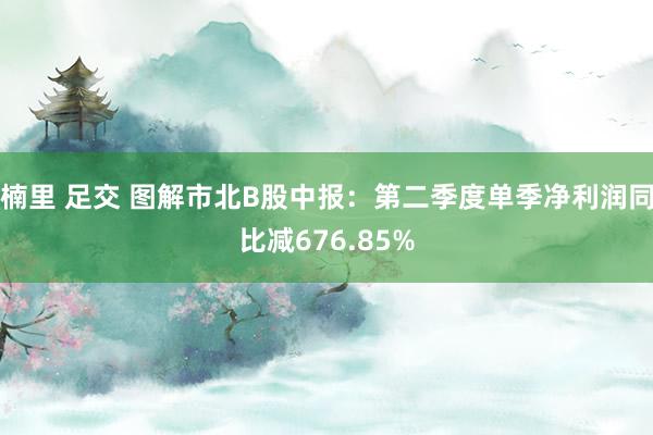 楠里 足交 图解市北B股中报：第二季度单季净利润同比减676.85%